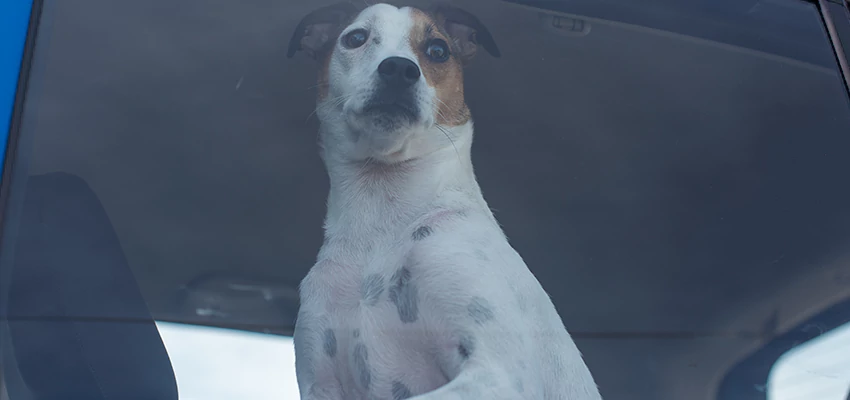 Car Lockout Solutions in Oroville East, California